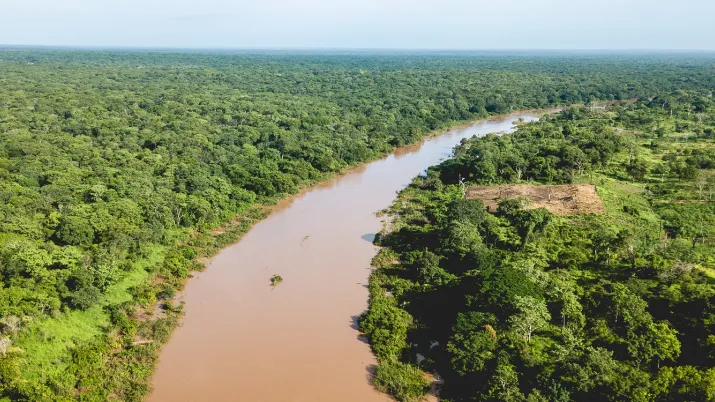 forêts fleuve