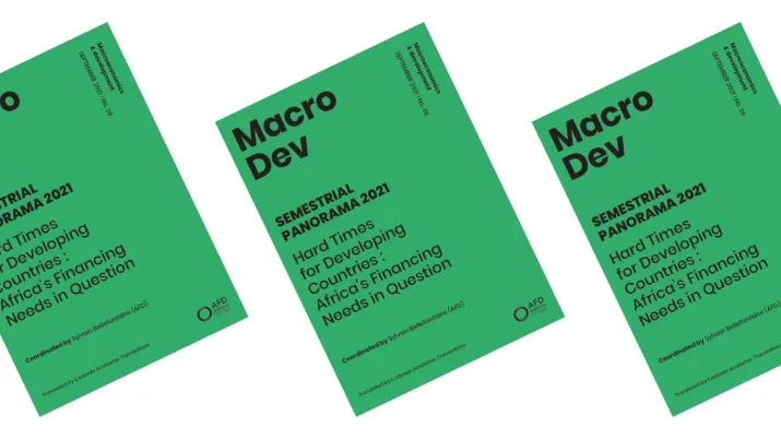 MacroDev