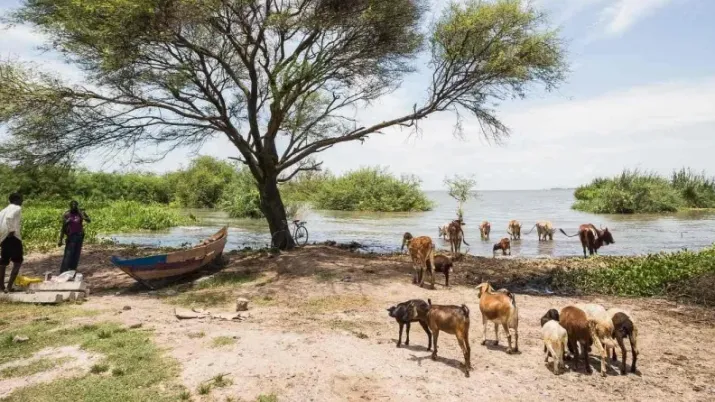 Afrique