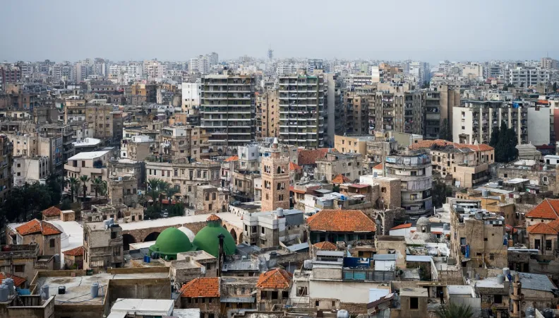 afd liban