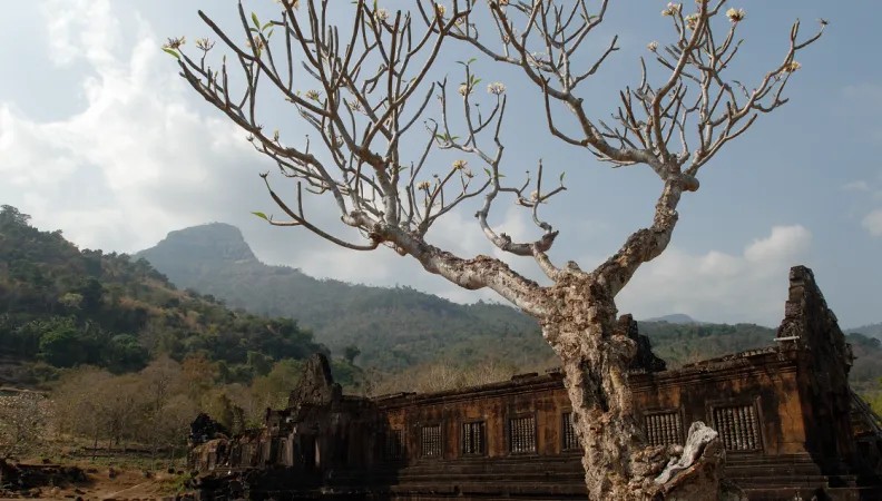 patrimoine laos afd