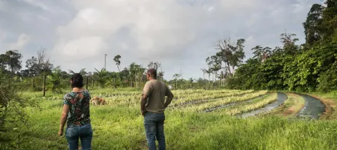French Guyana 1 
